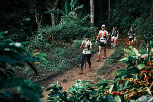 BIB: 
                            <button type="button" onclick="openModal(25824050)" class="btn btn-primary btn-sm float-right btn-popup" data-toggle="modal" data-target=".modal-high-quality">
                        <i class="fas fa-shopping-cart"></i> Add to Cart
                    </button>
                                            <button type="button" onclick="isThisMe(25824050, true)" class="btn btn-success btn-sm float-right btn-popup btn-isme hidden" data-toggle="tooltip" data-placement="bottom" title="นี่คือรูปของคุณใช่ไหม คลิกที่นี่เพื่อเอาเข้าอัลบั้ม">
                        <i class="fas fa-plus"></i> Add to album
                    </button>
                    <button type="button" onclick="isThisMe(25824050, false)" class="btn btn-warning btn-sm float-right btn-popup btn-isnotme hidden">
                        <i class="fas fa-ban"></i> Remove from album
                    </button>